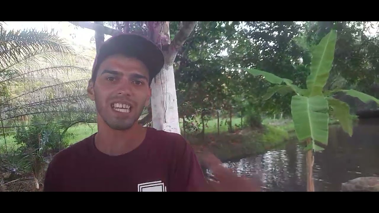 Paraíso dos quincas 06/01/2026