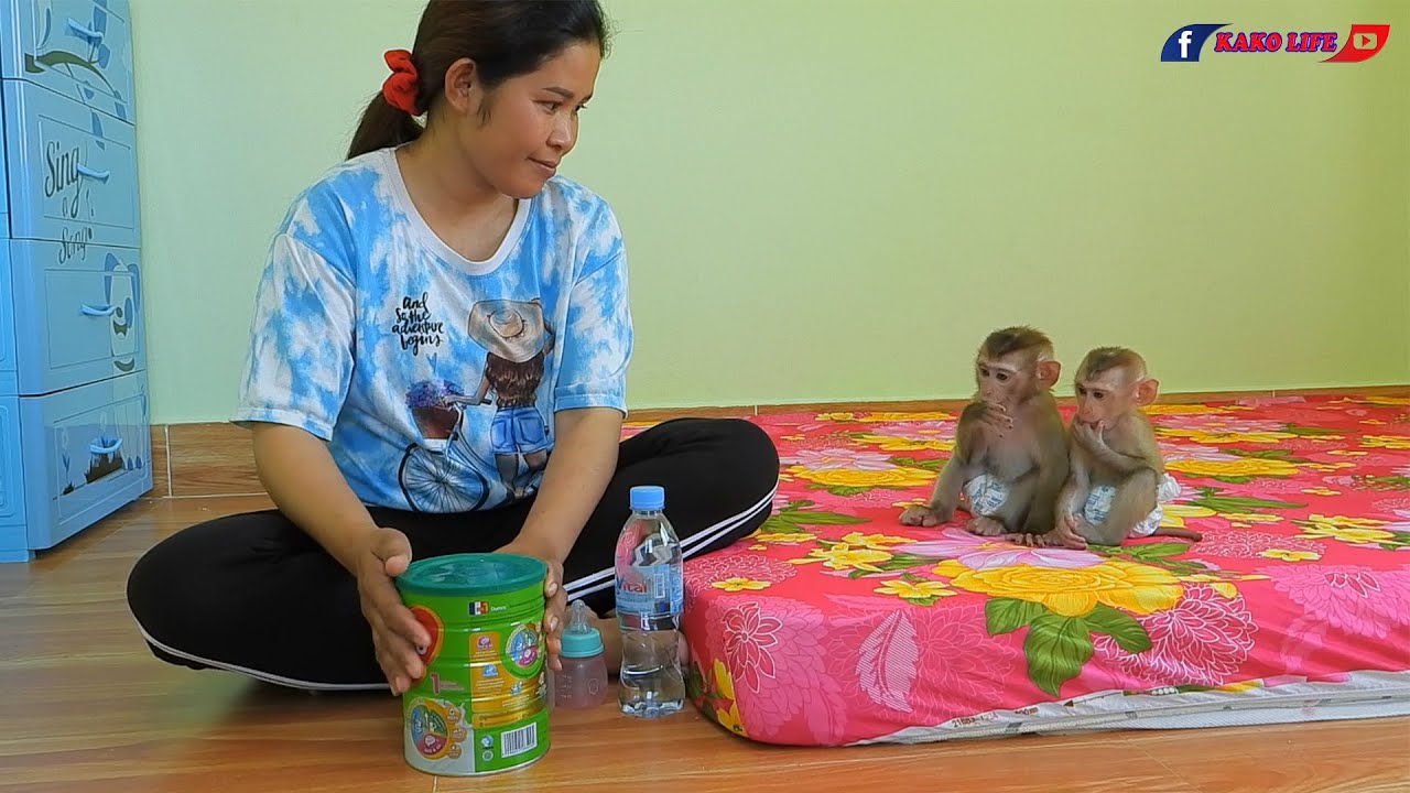 Two Cute Princess Lisa And JiJi Waiting Drink Milk