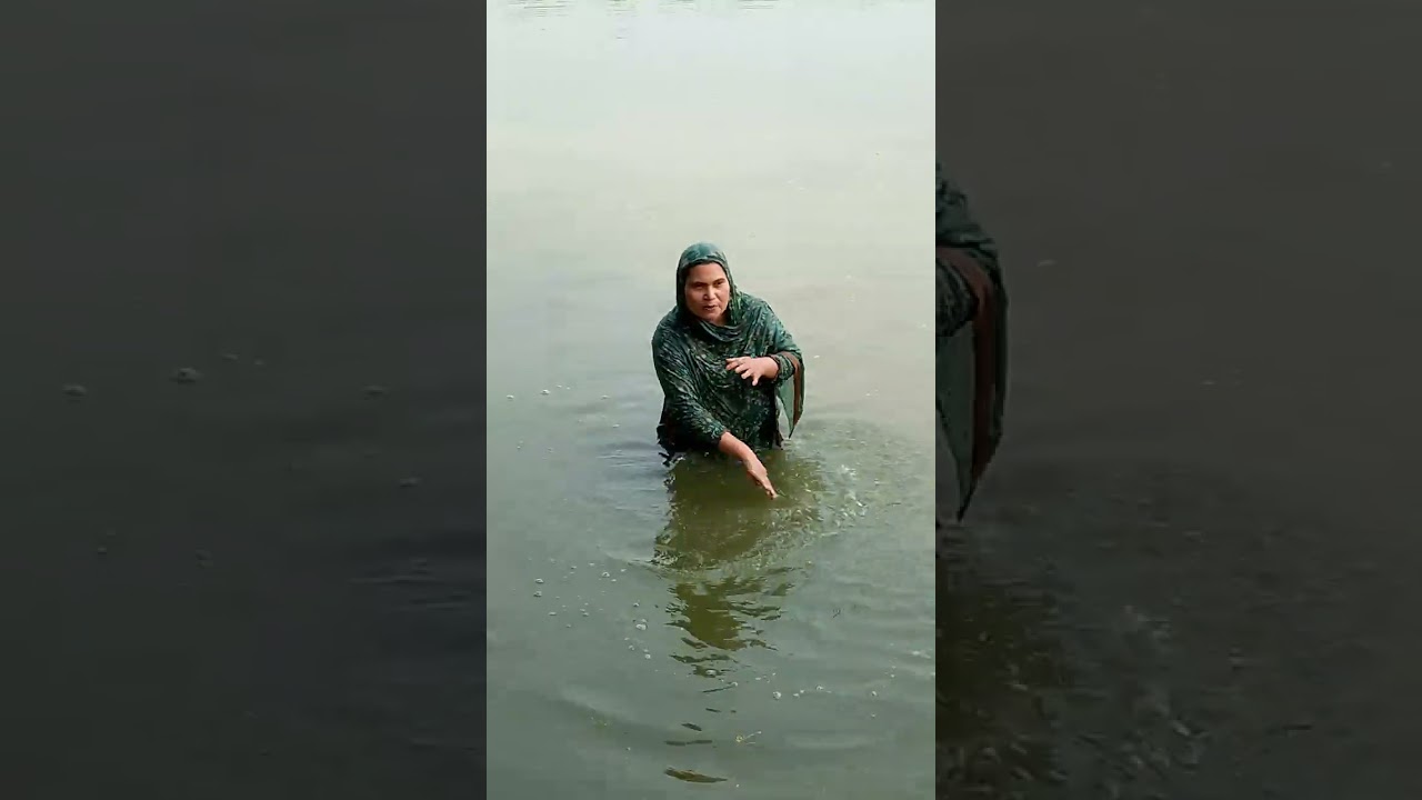 শাপলা ফোটা পুকুরে গরম লাগা দুপুরে কে কে গোসল করবে চলে আসো