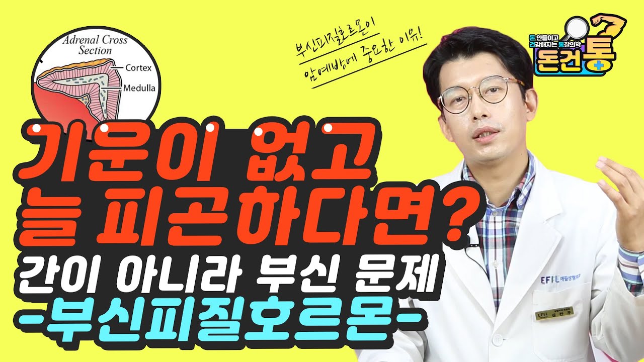 Why am I Always Tired? 늘 피곤한 이유가 간이 아니라 부신피질호르몬 문제? 활력 넘치고 건강한 삶을 위한 부신피로증후군 치료하는 방법! [돈건통] -통찰 의학