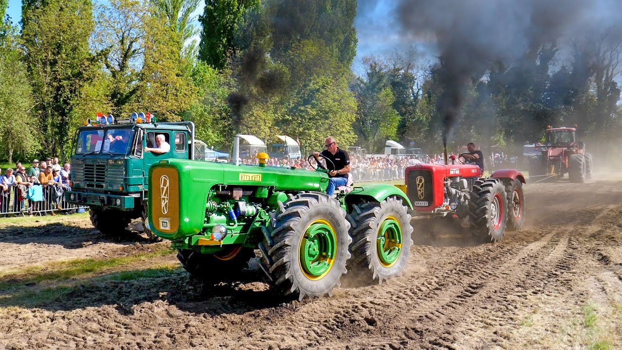 2db DUTRA D4K vs. Csepel D 566 | Dutra erőhúzások Szarvason 💪