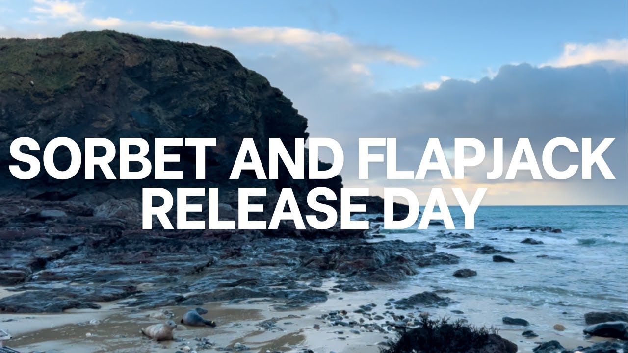 Sorbet and Flapjack Release Day