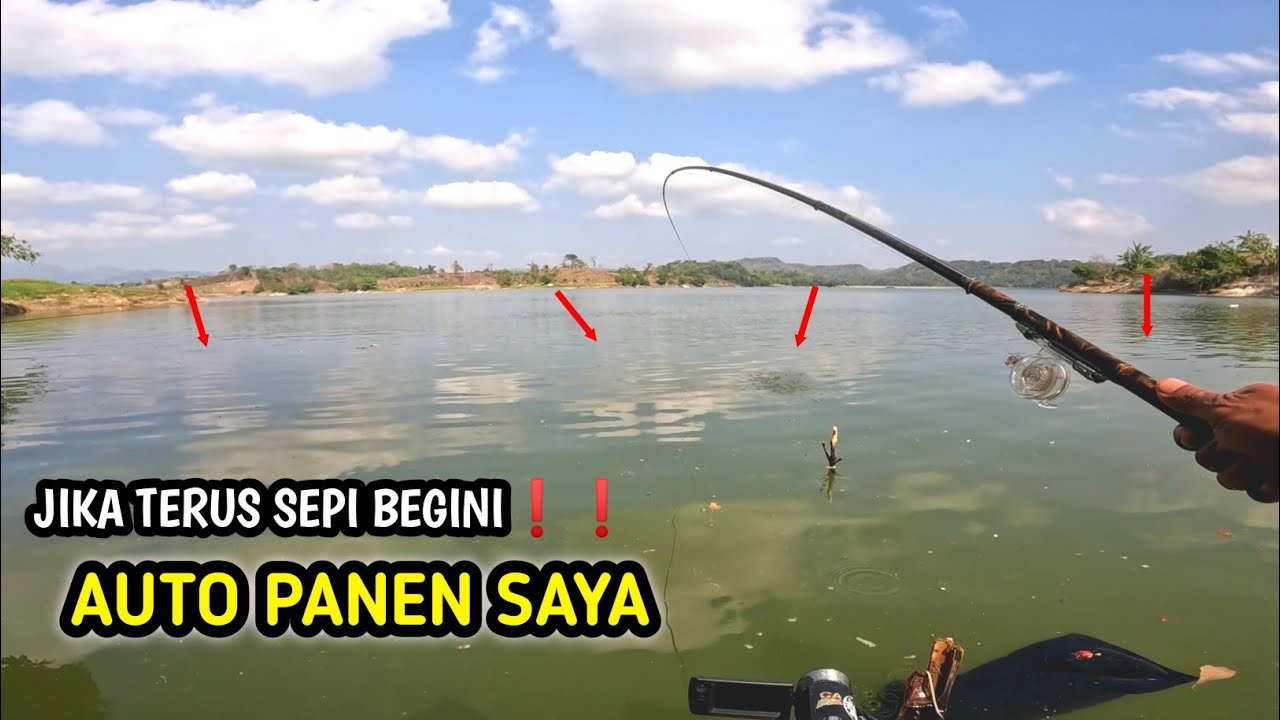 HERANN❗❗❗ IKAN MAKAN BEGINI PEMANCING PADA KEMANA??? || WADUK PACAL TERBARU