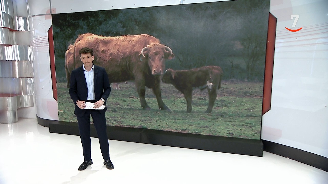 CyLTV Noticias 14:30 horas (21/02/2026)