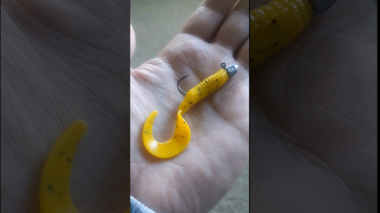 How to Rig a Soft Plastic PROPERLY | Quick Tutorial for Perfect Presentation !!