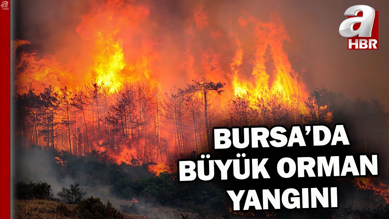 Bursa'da bin 765 kişi tahliye edildi! A Haber yangın bölgesinde... | A Haber
