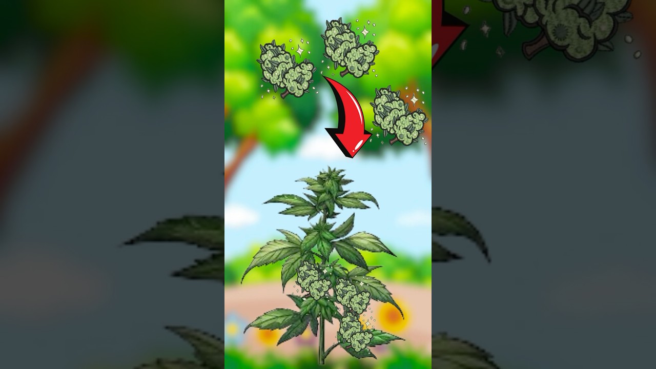 Why Popcorn Buds Happen (and How to Prevent Them)