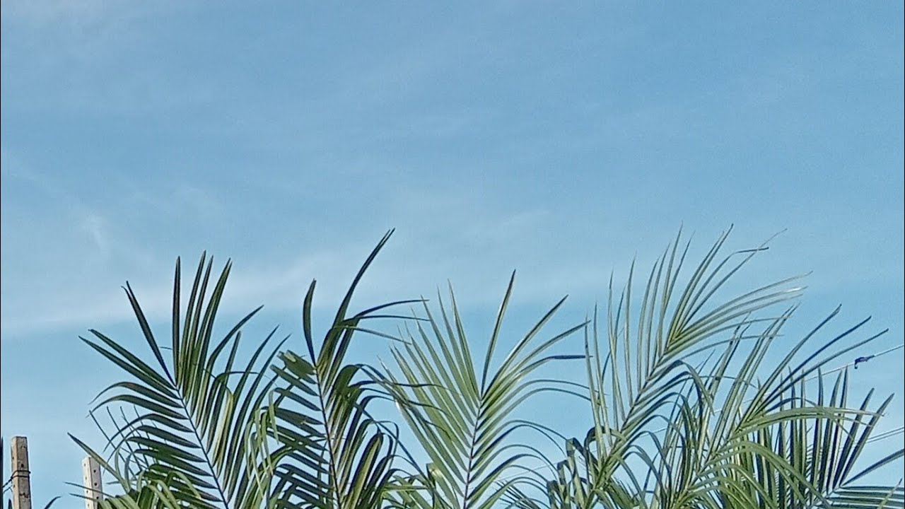 Finalmente o sol em Tamoios,  dia 1° de março de 2026. (Domingo)