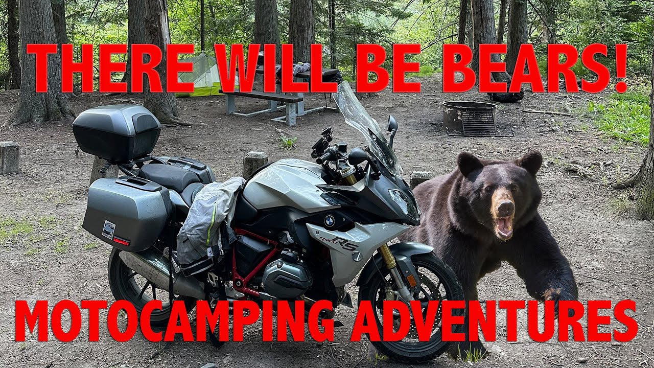 2 Rules to Stay Safe from Bears