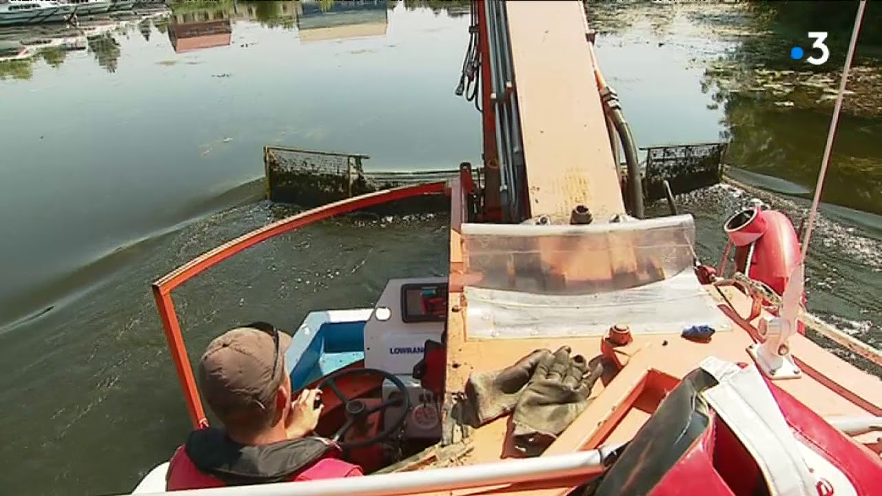 Saint-Jean-de-Losne : faucardage des algues port de plaisance