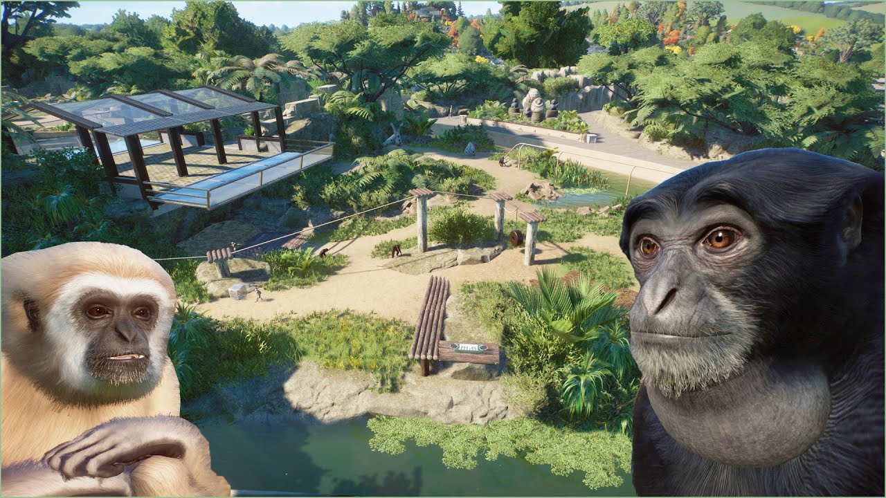 🐒 Lar gibbon and Siamang tropical habitat | Quaco Zoo | Planet Zoo | speedbuild 🌻