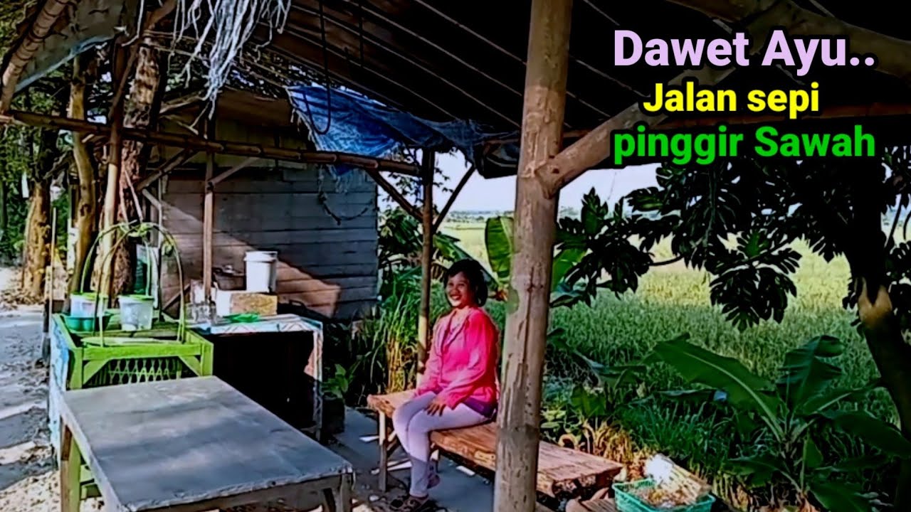 Dawet Ayu Pinggir Sawah Jalan sunyi sepi Mbak Erni Maibit Rengel Tuban.