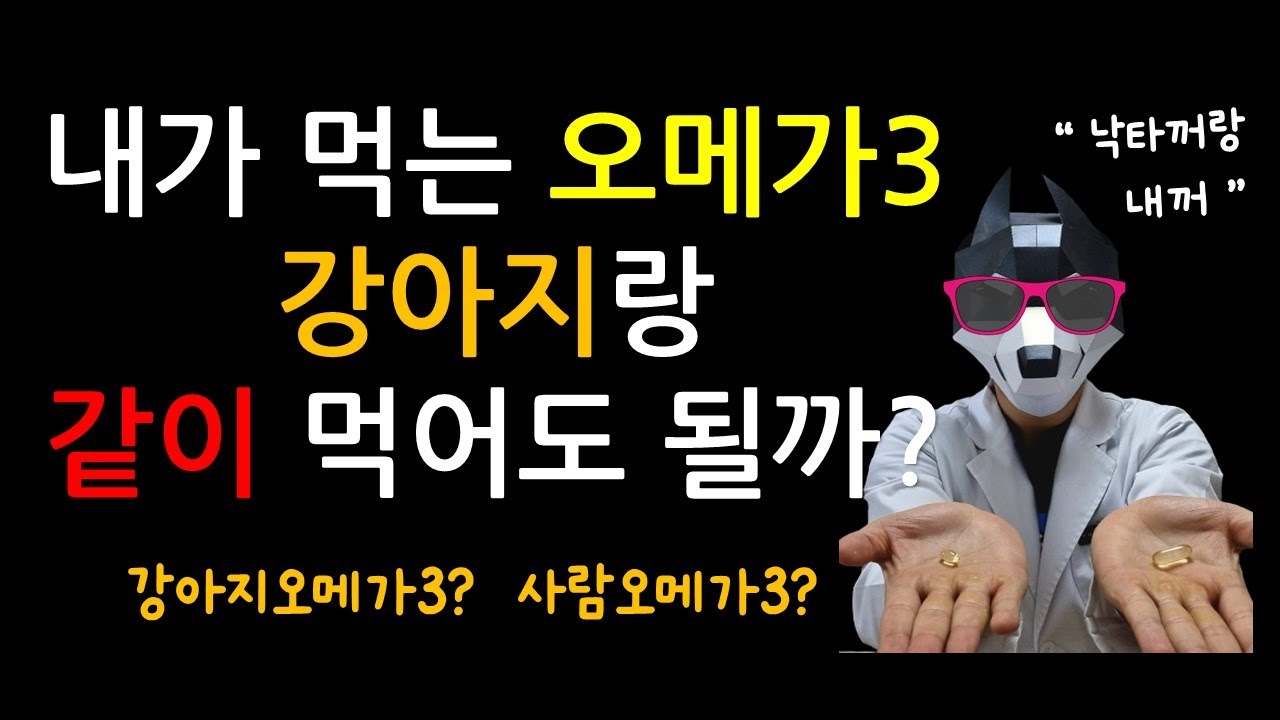 사람이 복용하는 오메가3를 강아지와 같이 먹어도 될까요?  (강아지오메가3, 동물용오메가3, 염증)  #건강기능식품 #오메가3 #강아지