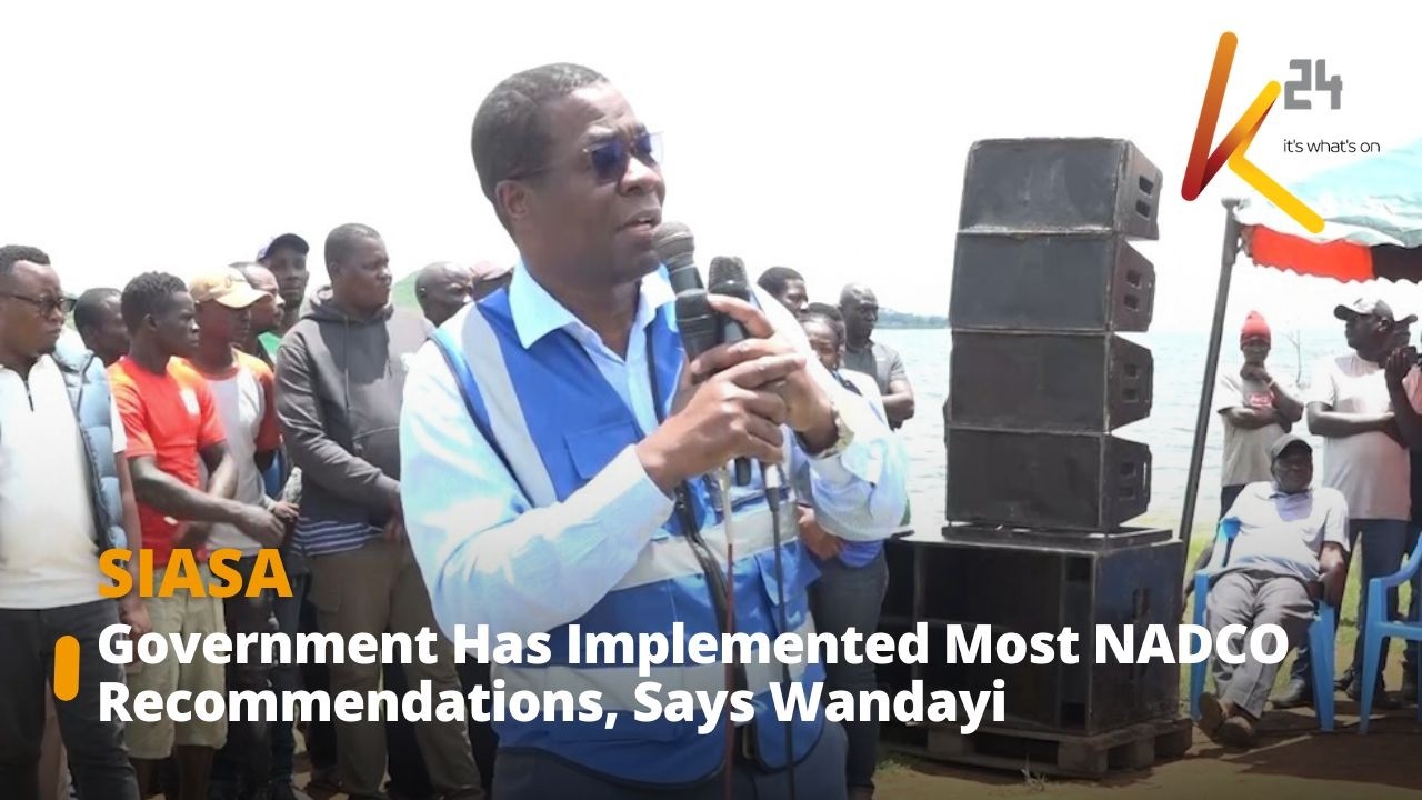 Government Has Implemented Most NADCO Recommendations, Says Wandayi