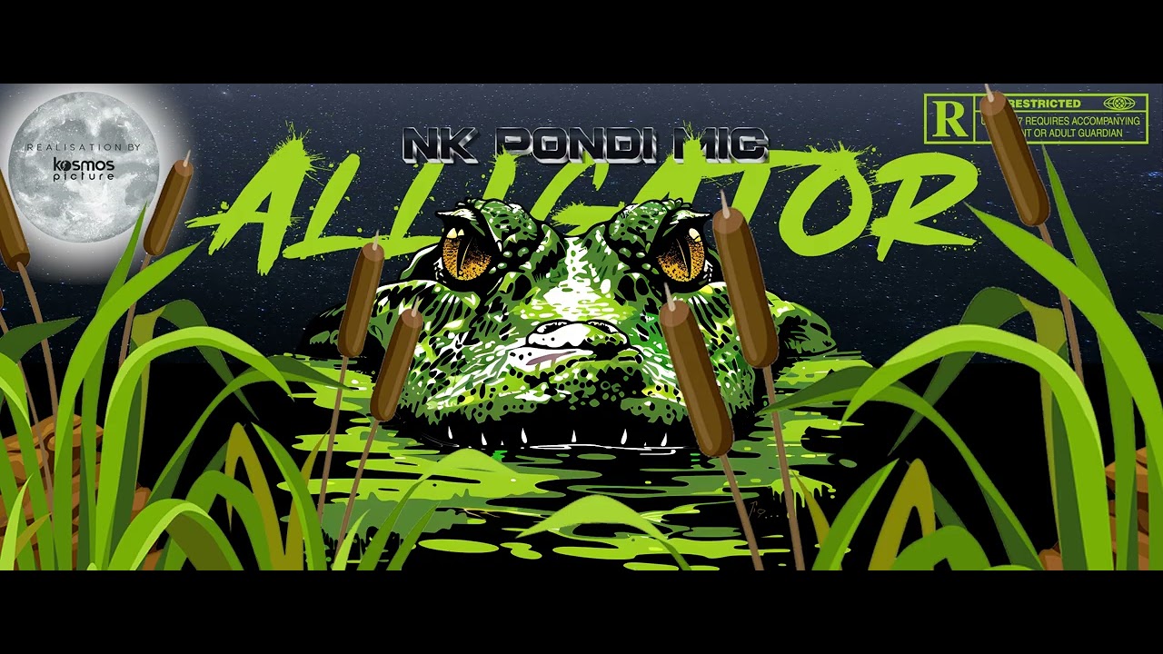 NK PONDI MIC - ALLIGATOR 🐊