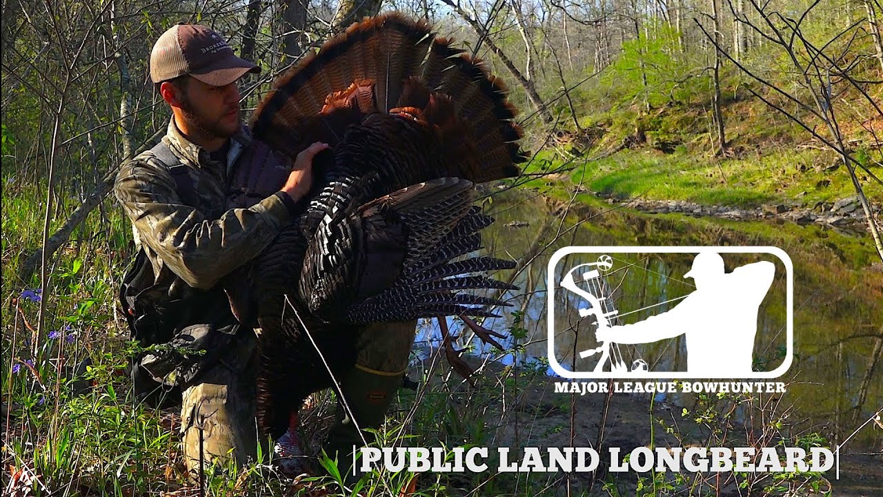 DIY Public Land Turkey - Spring Turkey Hunt | Major League Bowhunter