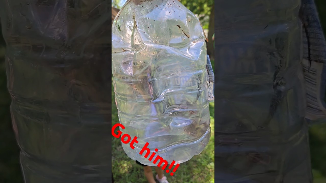 how to catch gophers...the fast easy way. kids love it