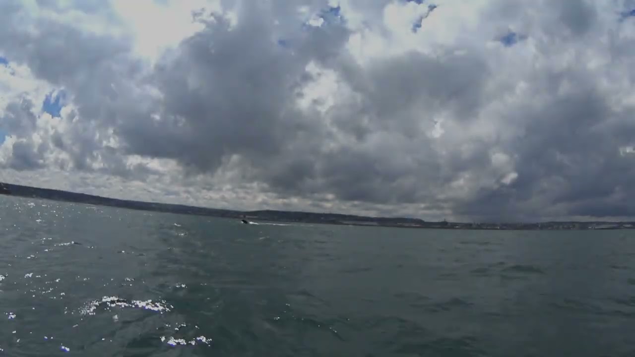 balade en voilier Sangria (7.6m) en 2019 St Vaast / Cherbourg