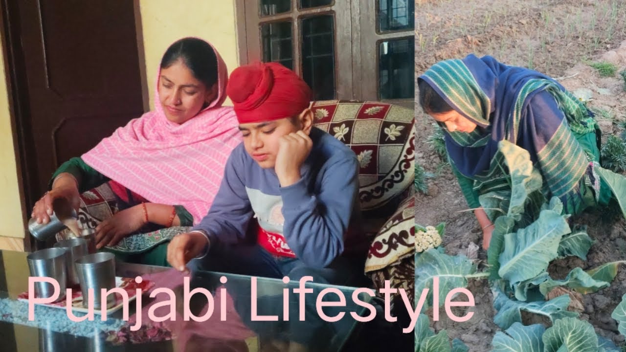 ਸ਼ਹਿਰ ਵਿੱਚ ਪਿੰਡਾਂ ਵਰਗੀ ਜ਼ਿੰਦਗੀ , ਨੇੜੇ ਬਾਜ਼ਾਰ ਹੋਣ ਦੇ ਫਾਇਦੇ ,By Punjabi Channel ❤️❤️