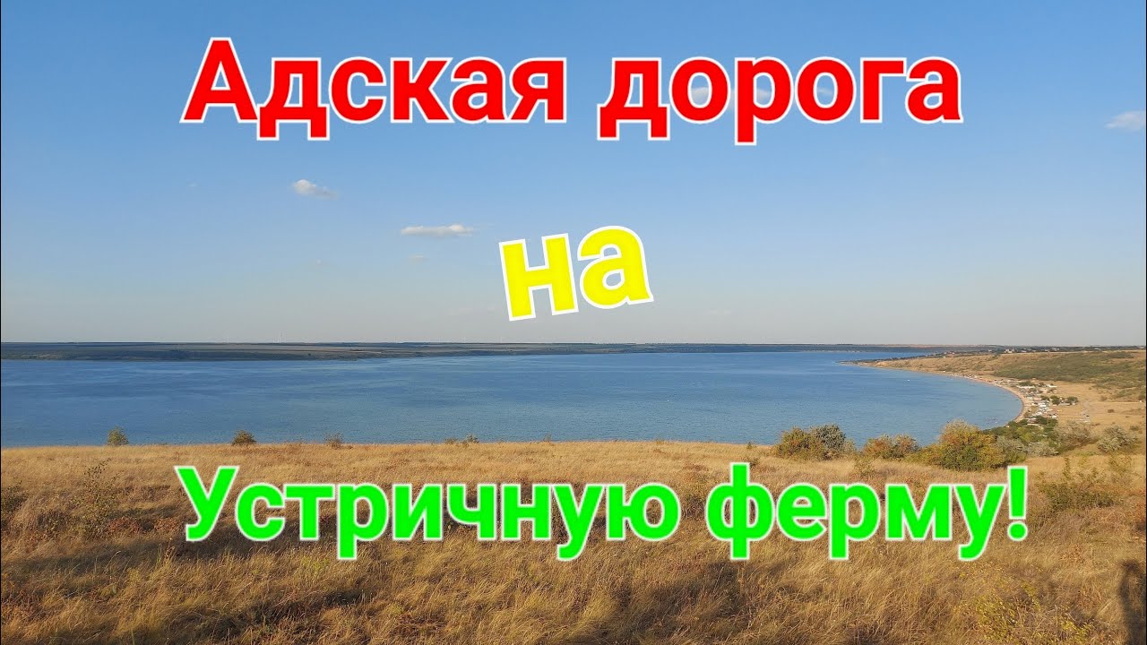 Дорога на устричную ферму. Тилигульский лиман. Устрицы Скифии. Ойстервиль. Тилигул. Одесса. #зоотроп