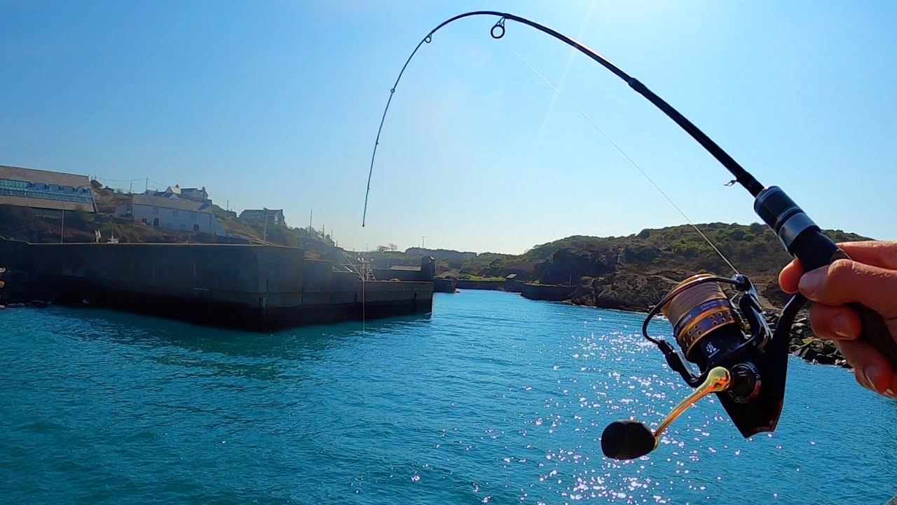 Port Wall Sea Fishing - SCARIEST SPECIES I've ever caught?? (Anglesey)