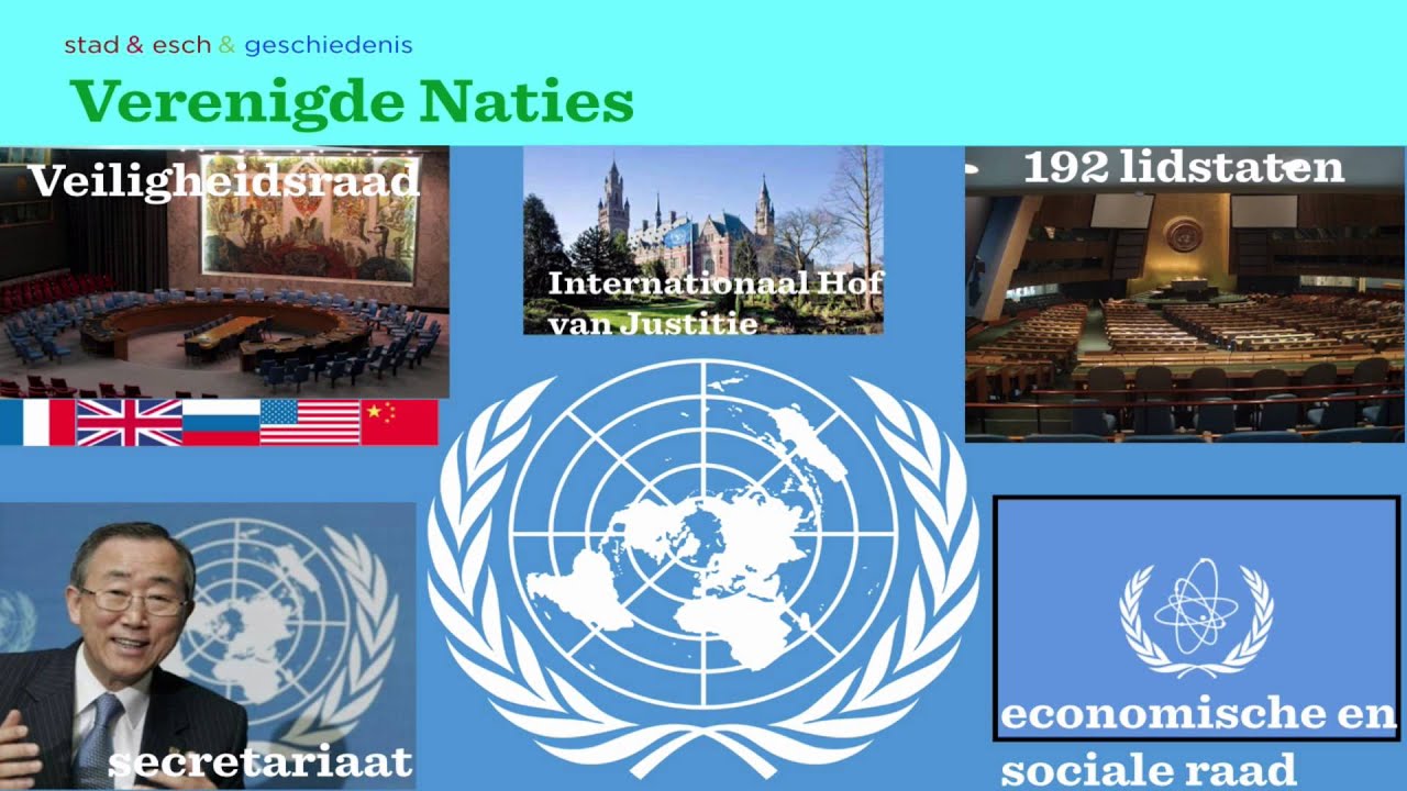 Internationale organisaties
