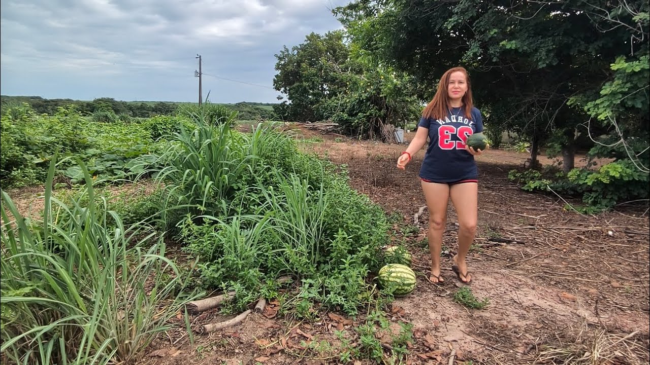 A vida no interior e diferenciada, aqui agente planta o pr&oacute;prio alimento.