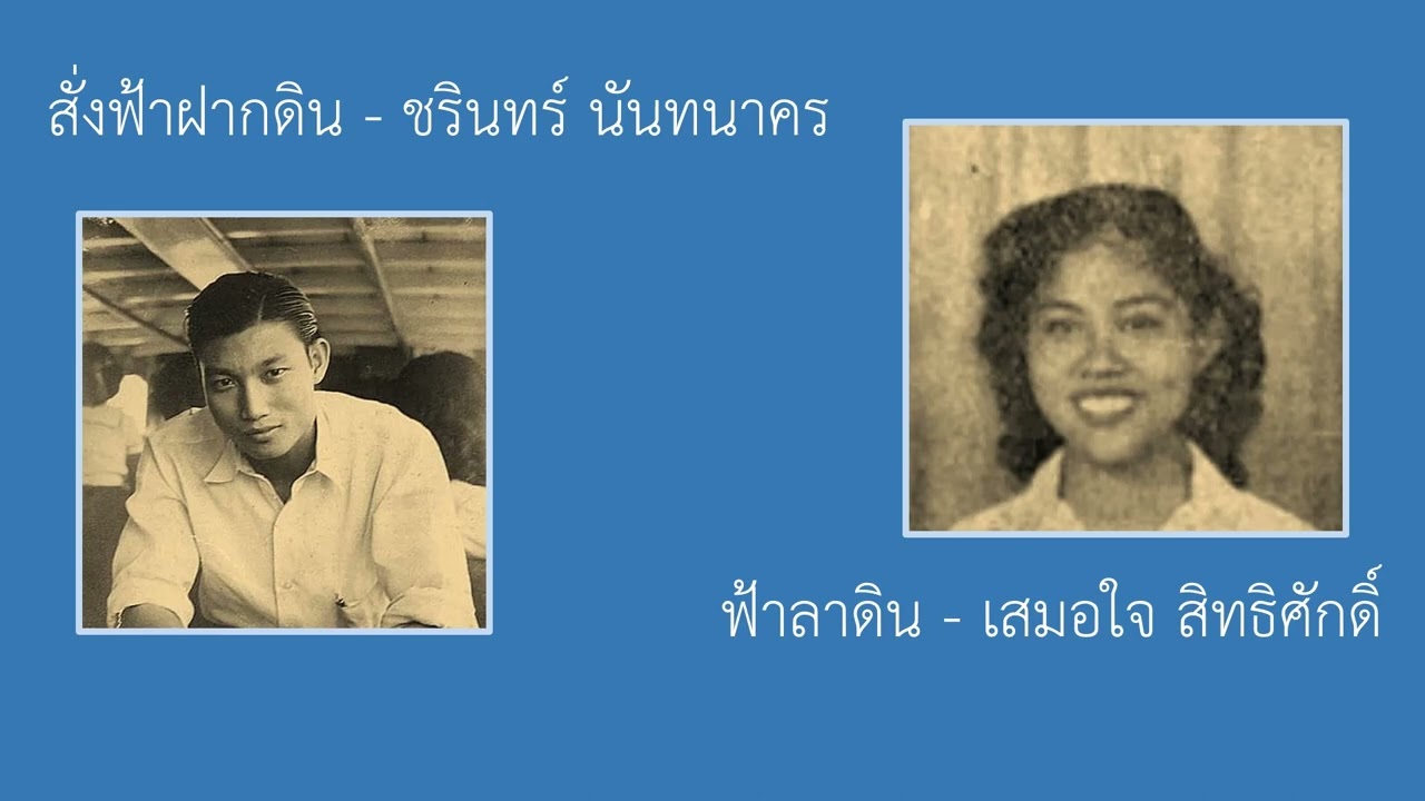 สั่งฟ้าฝากดิน - ฟ้าลาดิน