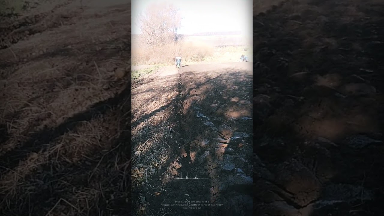 @Сінтай проти Зубра,хто кого дожене з плугом? 😆🚜