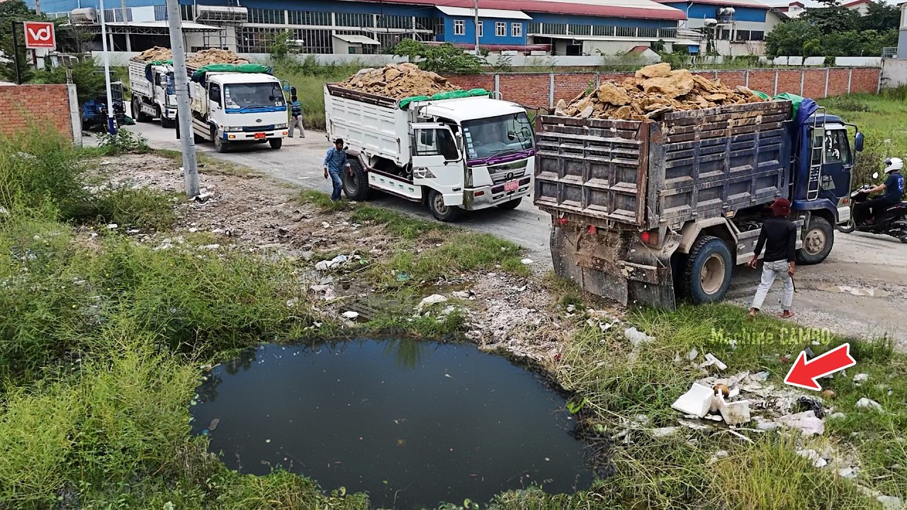 Talented Operator Bulldozer With Dump Trucks 5T Pour Land Delete Large Flooded Areas