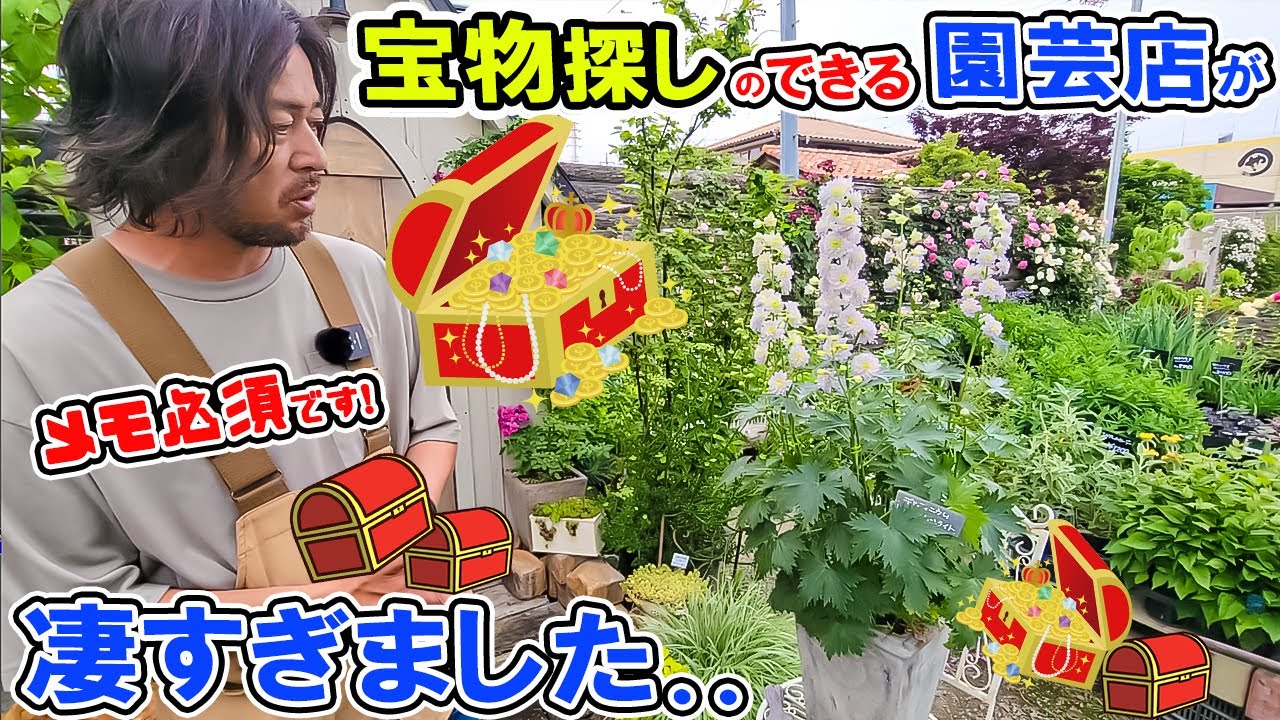 ※必見!【バラと初夏に楽しめる宿根草】希少な宿根草も数多く登場!