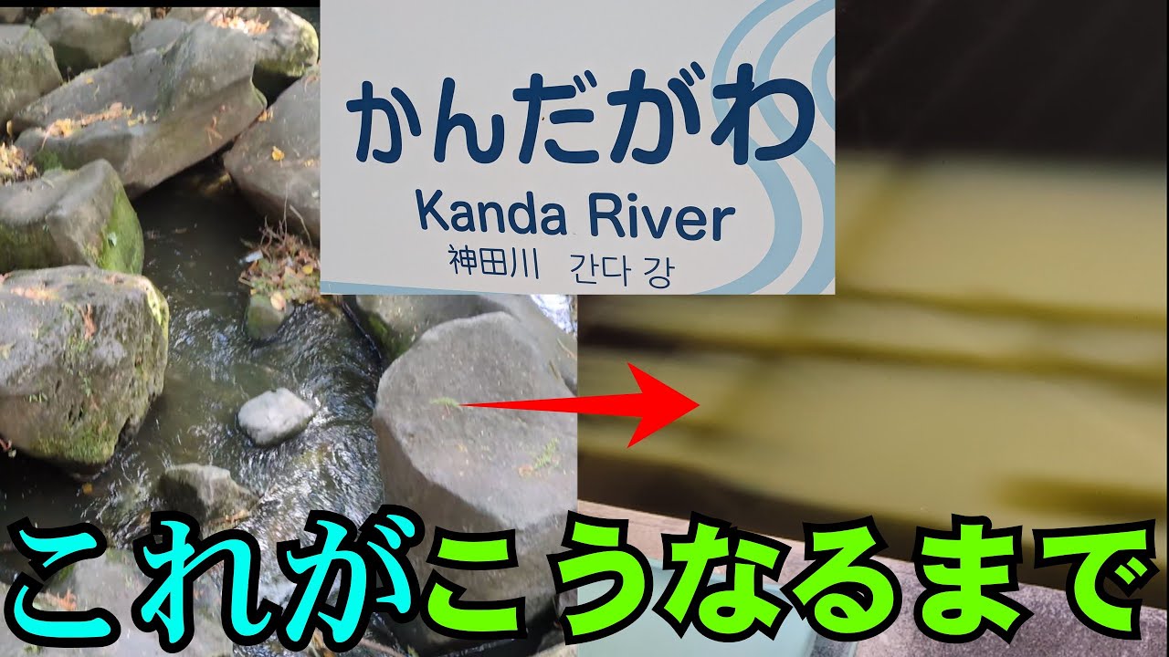 【汚い？】神田川は起点からどのように濁っていくのか検証してみた