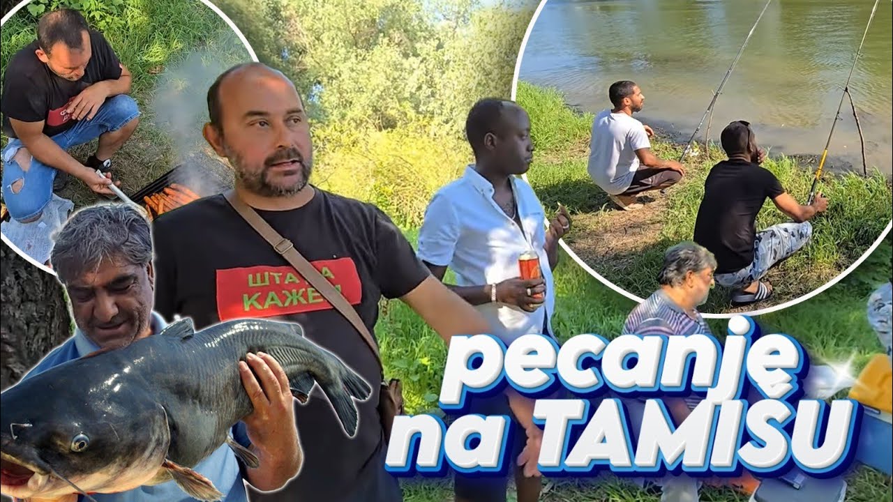 PECANJE PANCEVO TAMIŠ