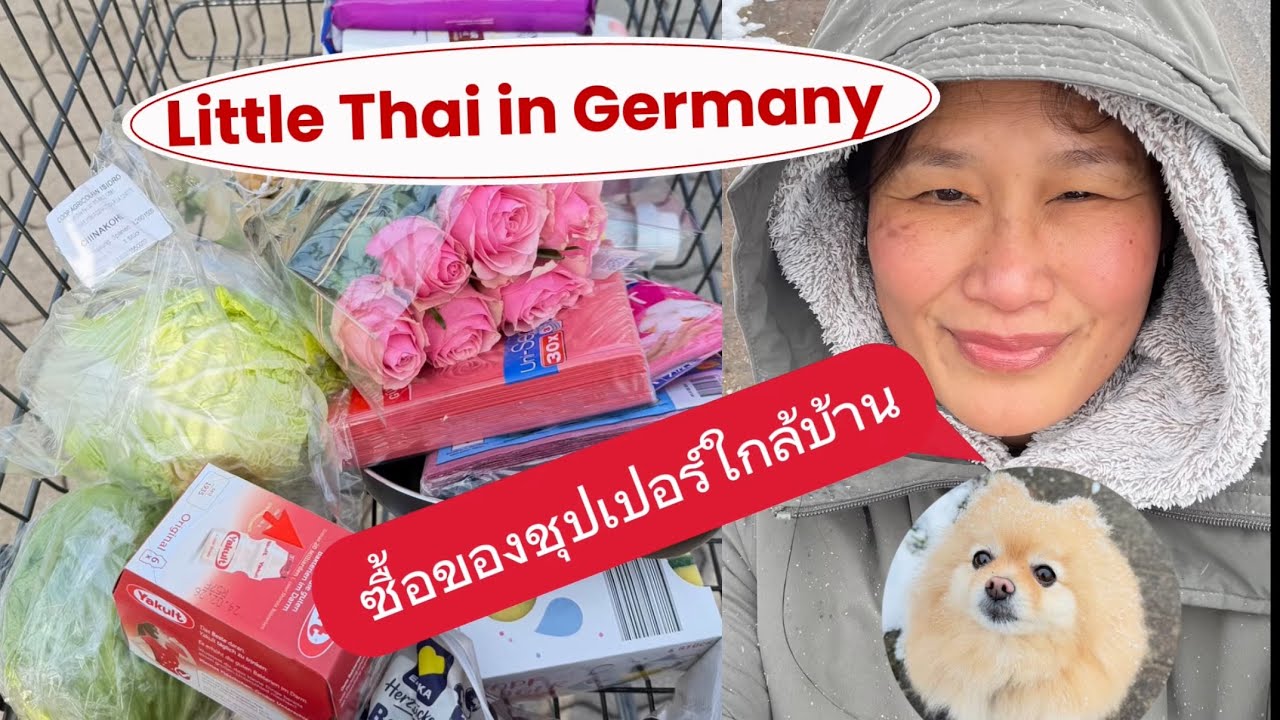 ไปซื้อของที่ซุปเปอร์ใกล้บ้าน (เช็คราคา 2026 หน่อย), ชิลล์กับน้อง(หมา Pom) | Little Thai in Germany 