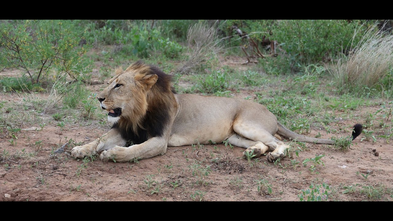 Samburu National Reserve