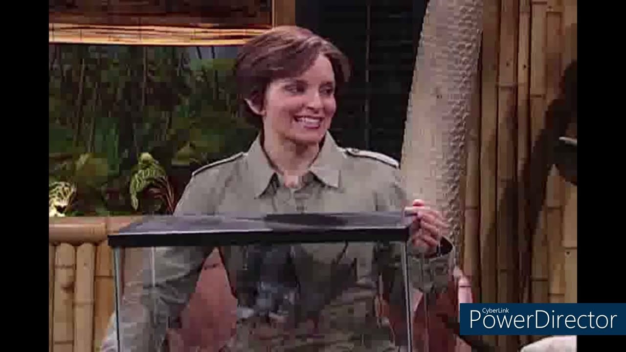 SNL: Brian Fellows' Safari Planet (Seal and Bat)