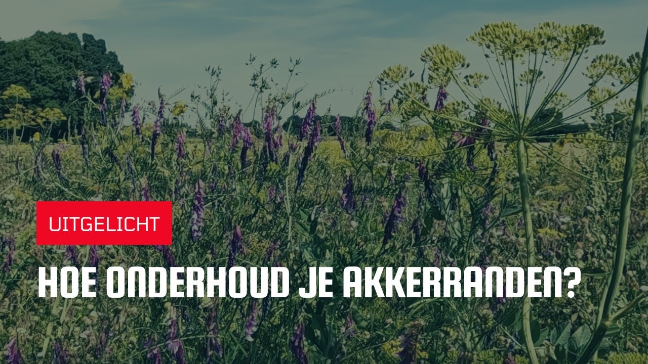 Uitgelicht | Hoe onderhoud je akkerranden?