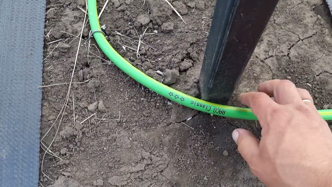 Детальный вид надёжного укрытия винограда от весенних заморозков.