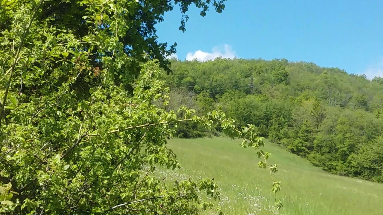 SEGUGIO DELL' APPENNINO