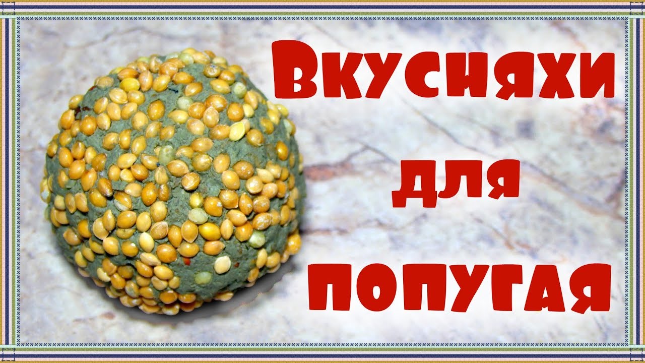 ЛАКОМСТВО-ШАРИКИ из глины для попугая за 5 минут. Глина для попугая.