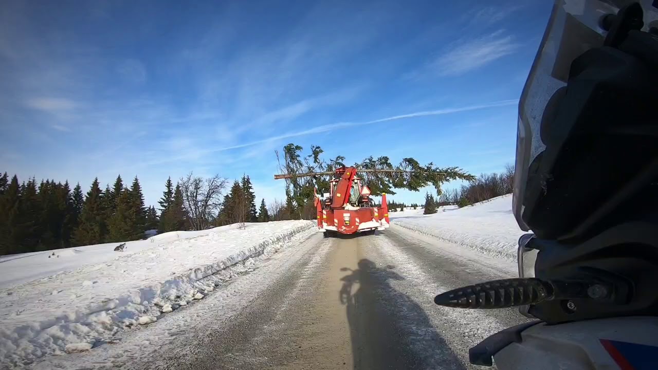Krystall Rally 2020, winter wonderland