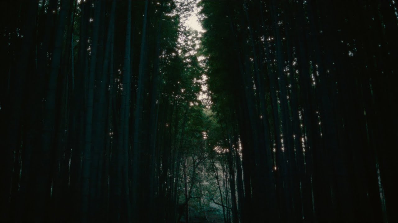 Japan in Memory | Panasonic Lumix GH5 | Laowa 17mm f1.8 MFT