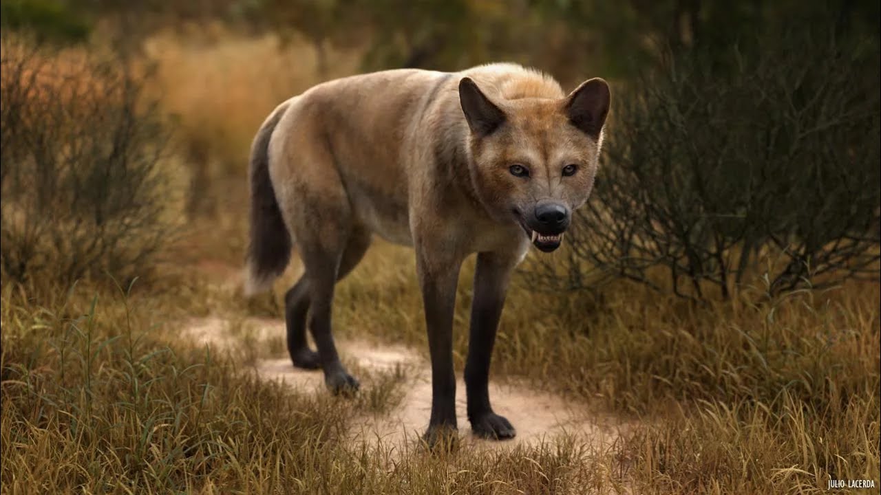 Have Scientists really resurrected the Dire Wolf?
