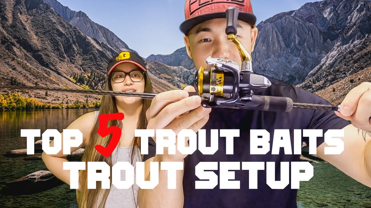 TOP 5 TROUT BAITS | TROUT SETUP | TROUT SEASON