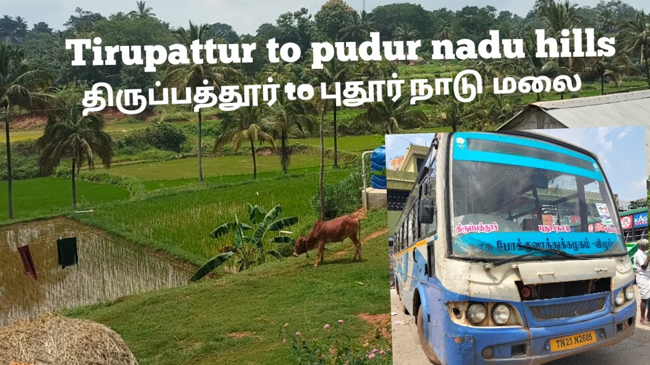 திருப்பத்தூர் to புதூர்நாடு மலை/Tirupattur to pudurnadu hills /Bus travel/pudur nadu