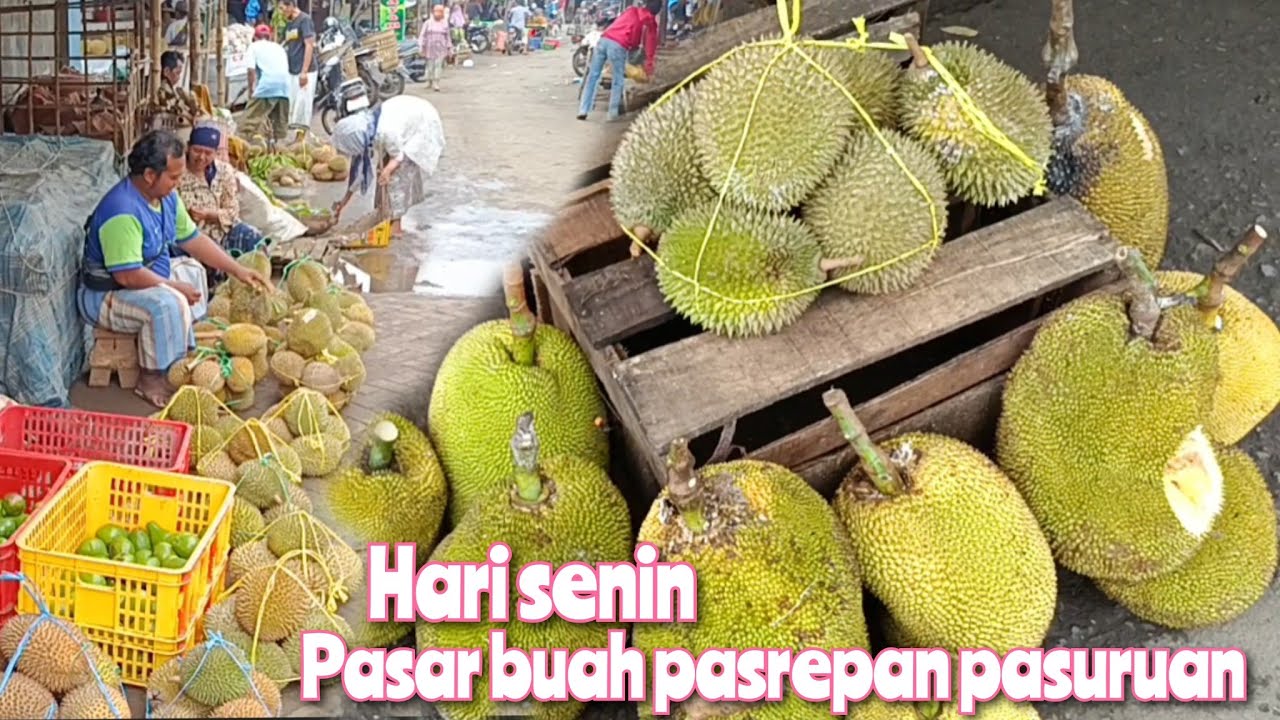 HARI SENIN LIHAT KONDISI PASAR DURIAN AGAK SEPI DI PASAR BUAH PASREPAN ADA PETE ALPUKAT NANGKA DSINI