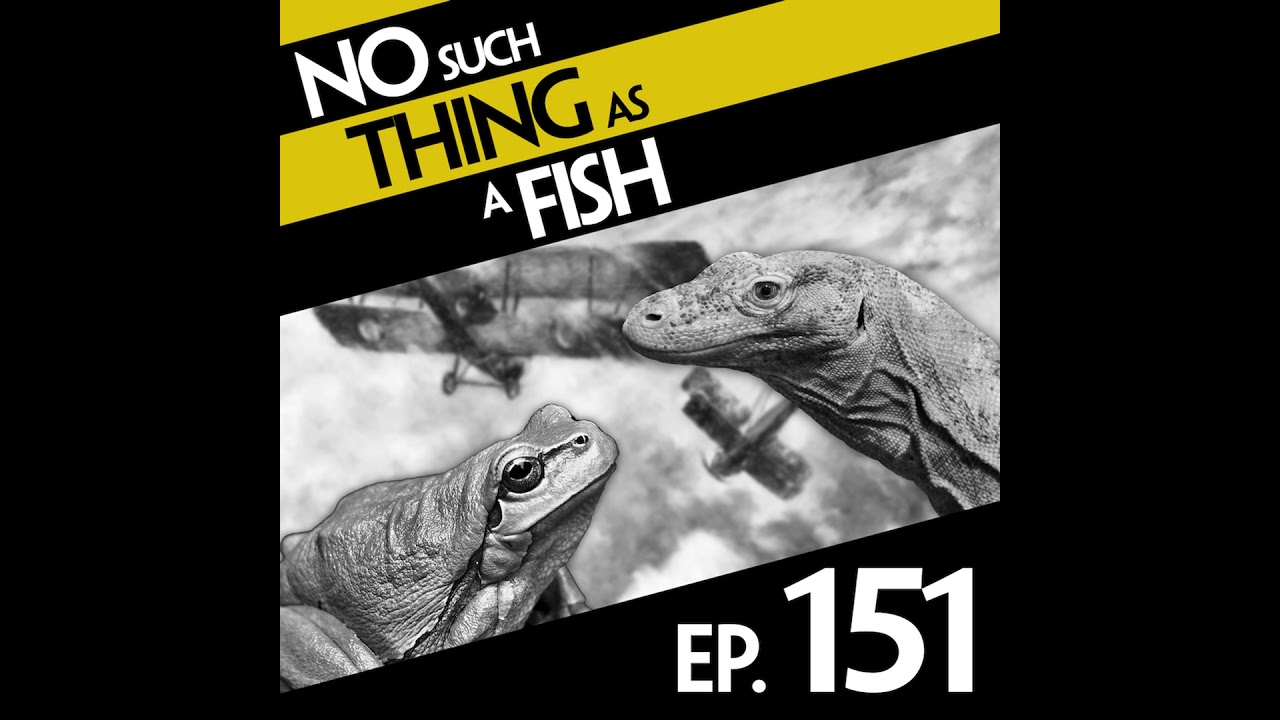 No Such Thing As A Komodo Dragon Restaurant