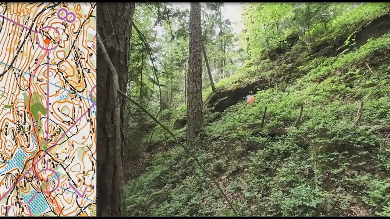 O-Video 76: Austrian Long Distance Champs 2025 (Headcam & comments)