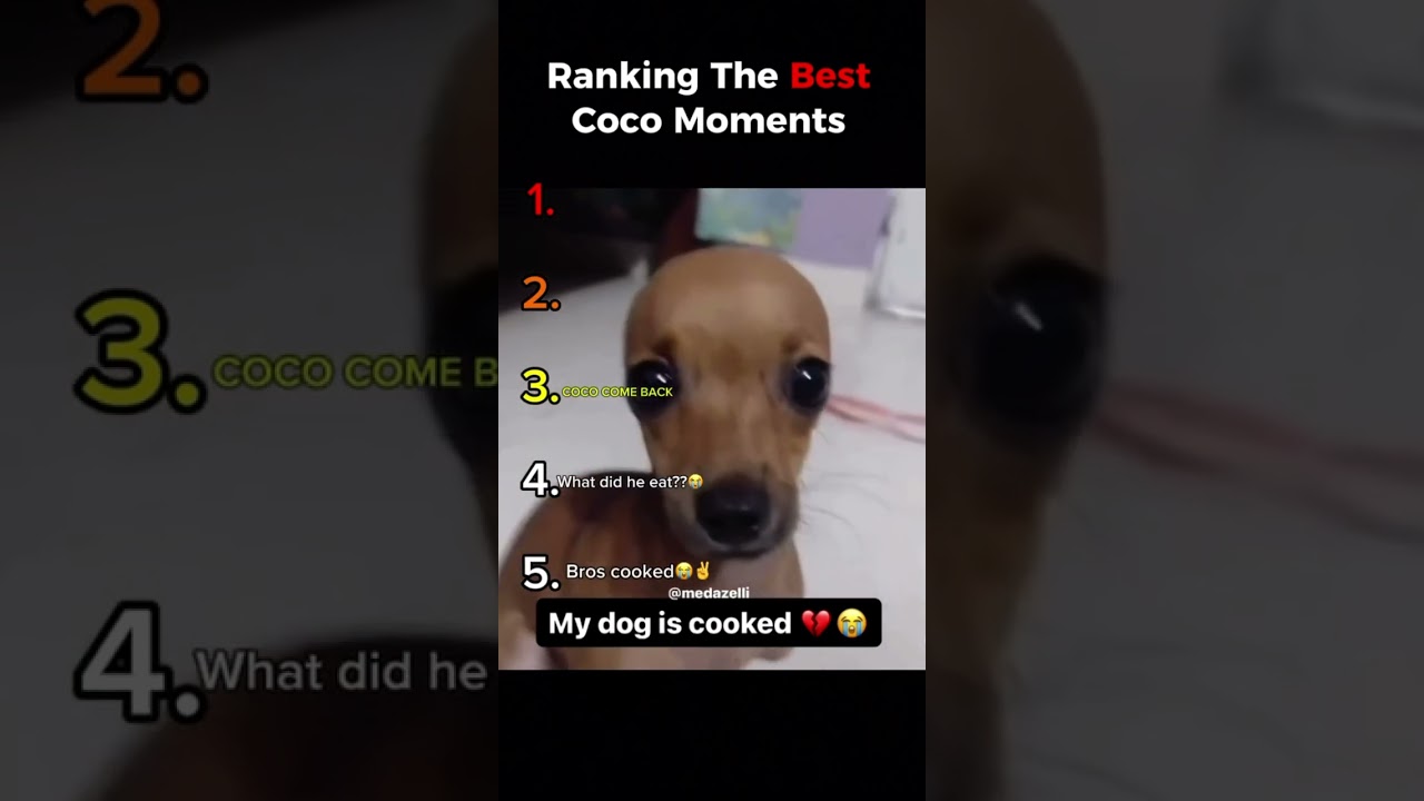 The 5 best Coco moments #funny #shorts