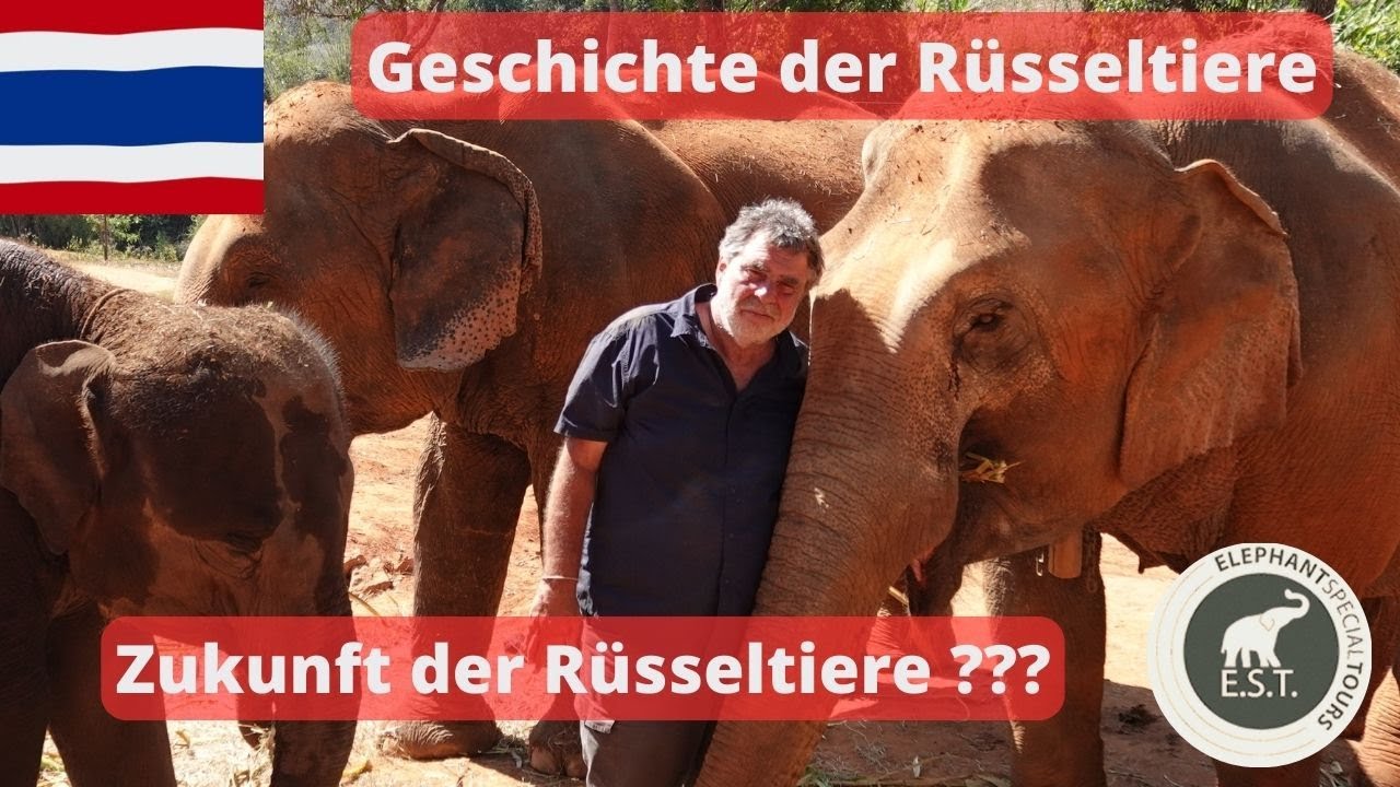Der Buddha sagt, der Weg der Mitte ist der Weg der Weisheit